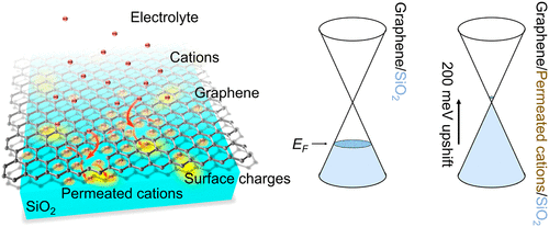 Kinetic Ionic Permeation and Interfacial Doping of Supported Graphene